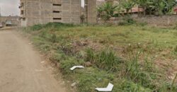Double plots for sale.