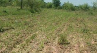 Matuu Plots  -Baraka Gardens(50*100, 100*100)