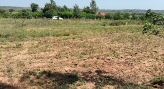 Zawadi Gardens – Matuu