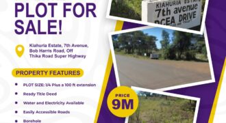 Prime Residential/Commercial Plot for Sale – Kiahuria Estate